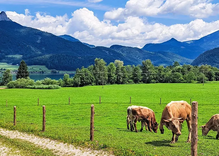 Apartamento 413 Bergblick By Interhome *